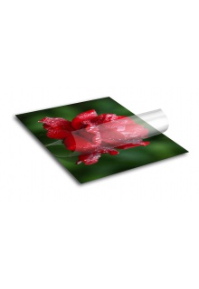 Price includes 2 signs with lamination Signicade Sidewalk Sign